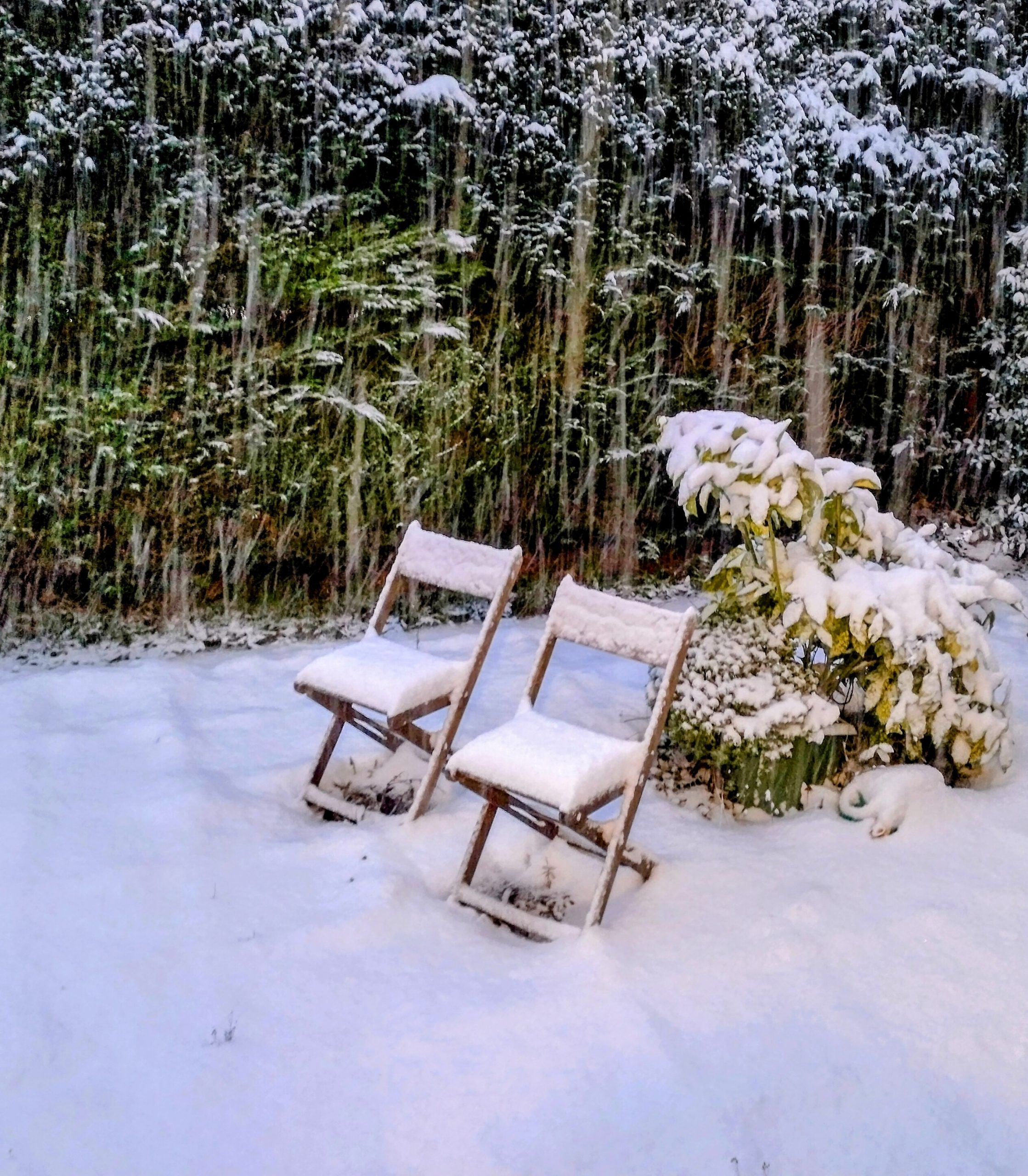 winter 2024 two chairs in the snow.